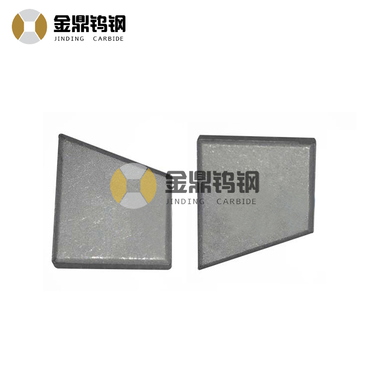 Tungsten Carbide Oil Tools Wear Resistant Digging Coal Tips